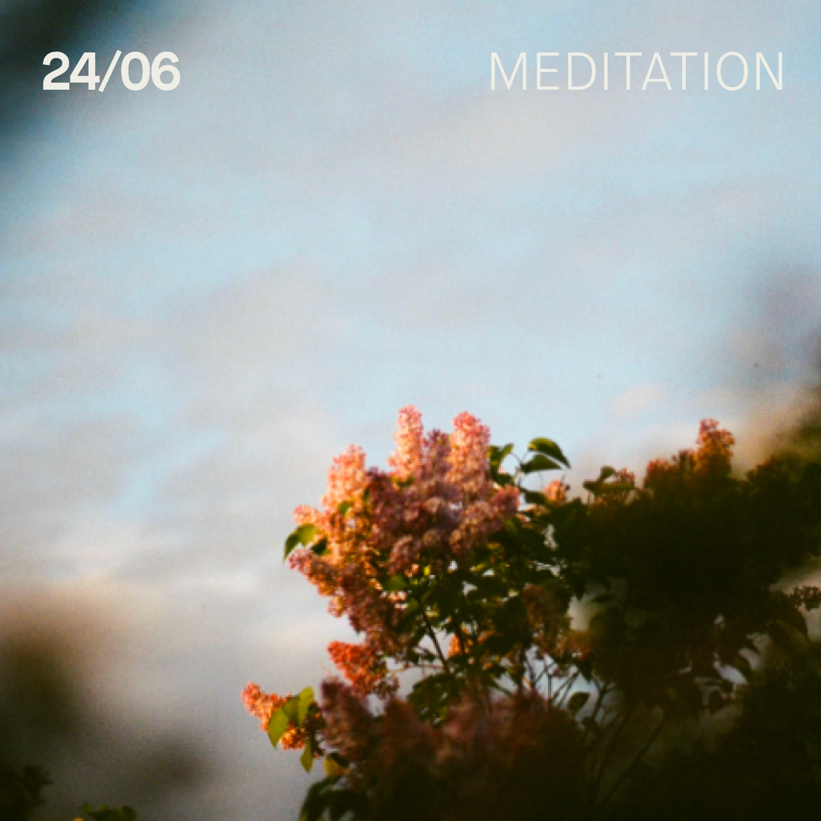 Summer Solstice and San Juan Meditation