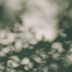 Focus Meditation