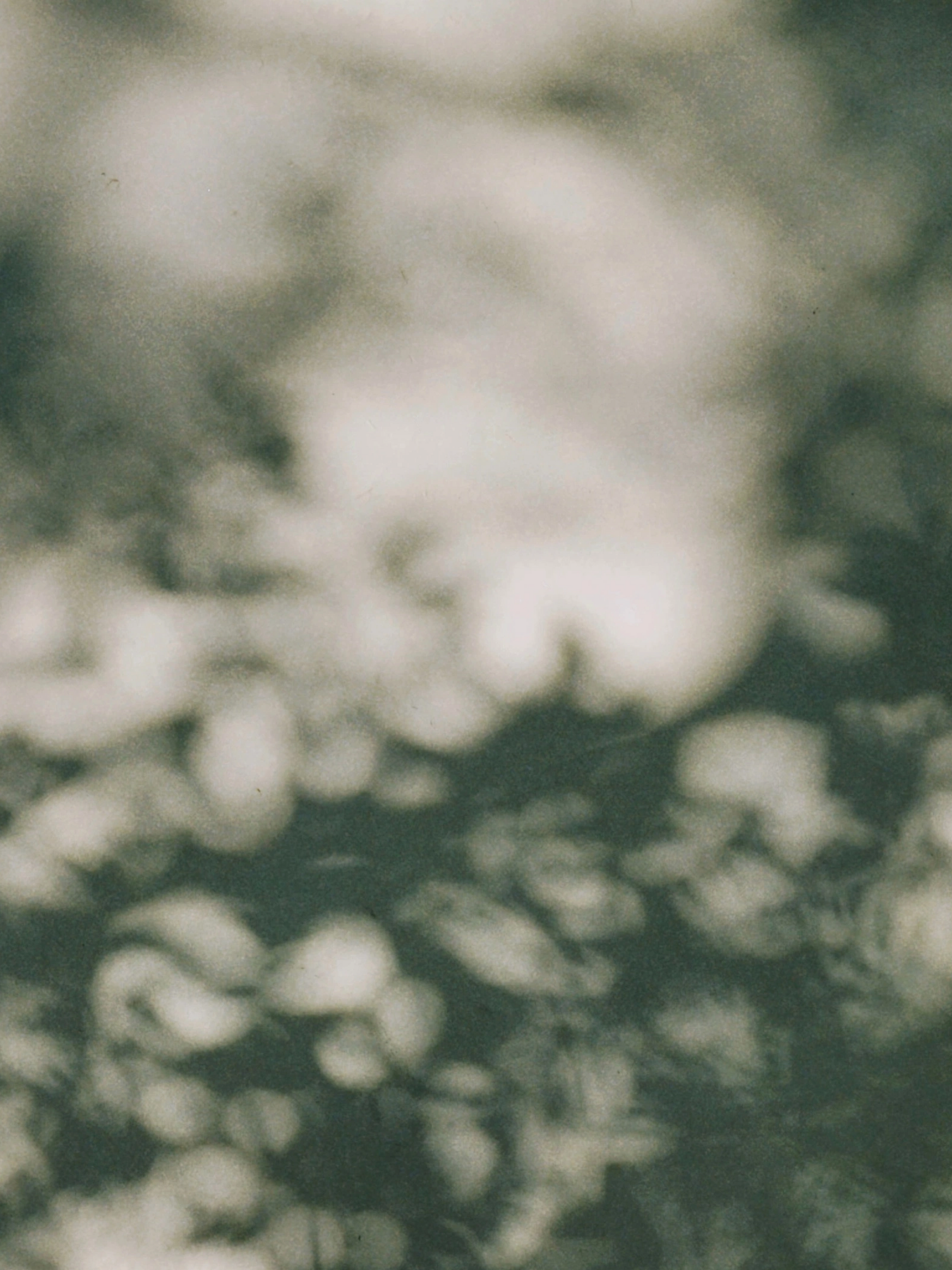 Focus Meditation