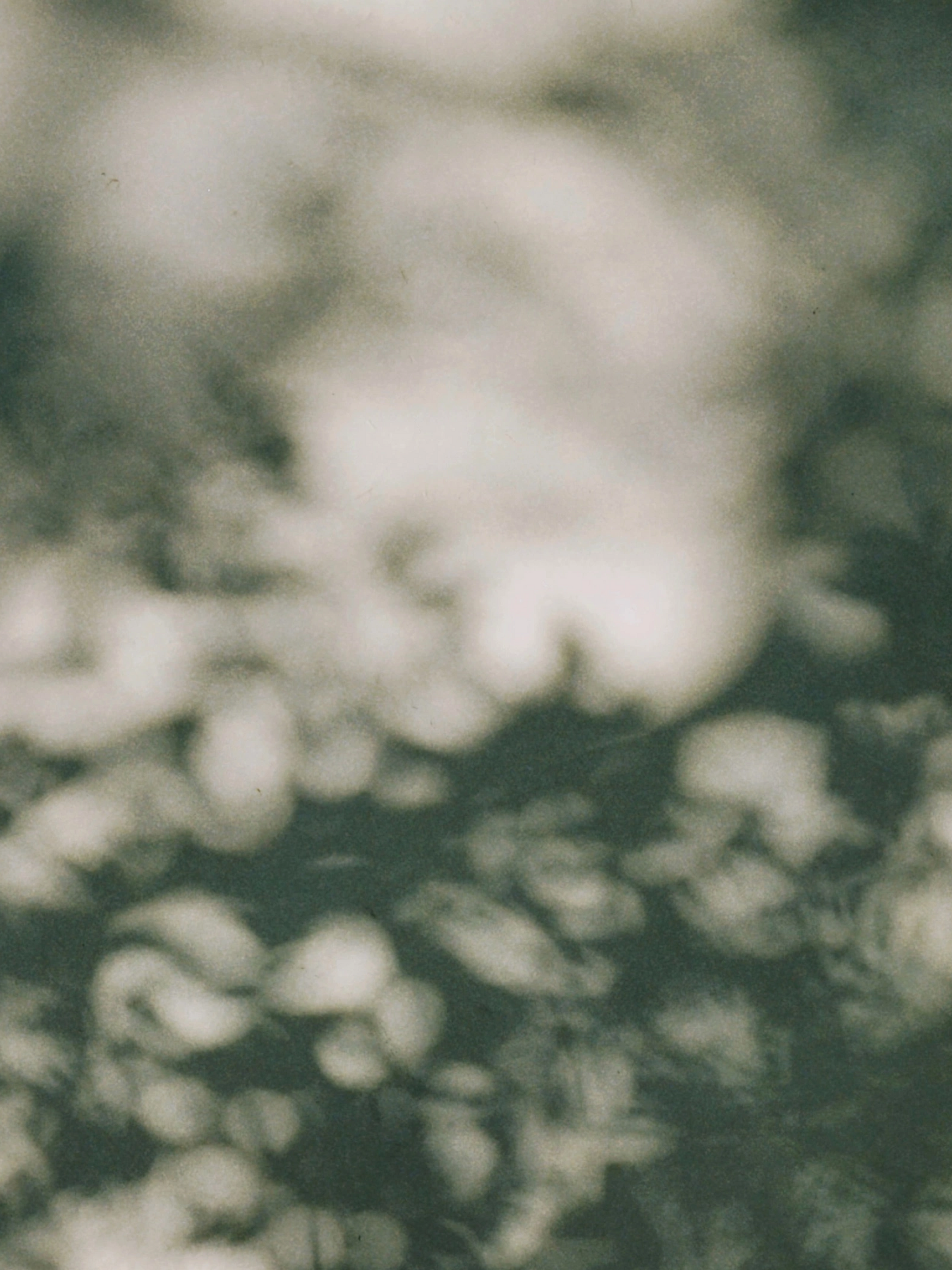 Focus Meditation