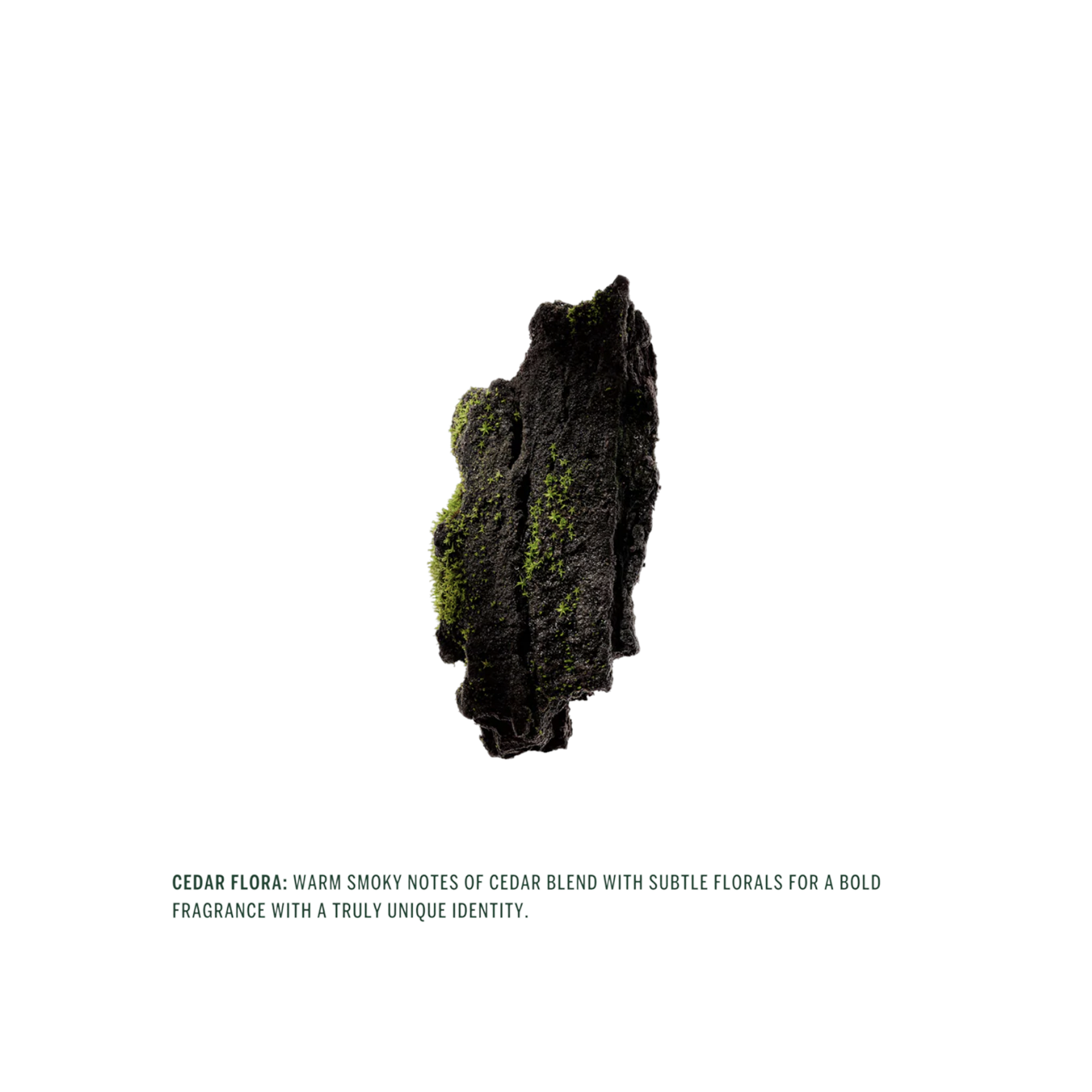 Deodorant Stick Cedar Flora